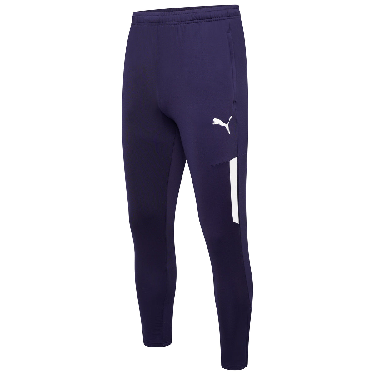 Puma TeamLIGA 25 Training Pro Pants