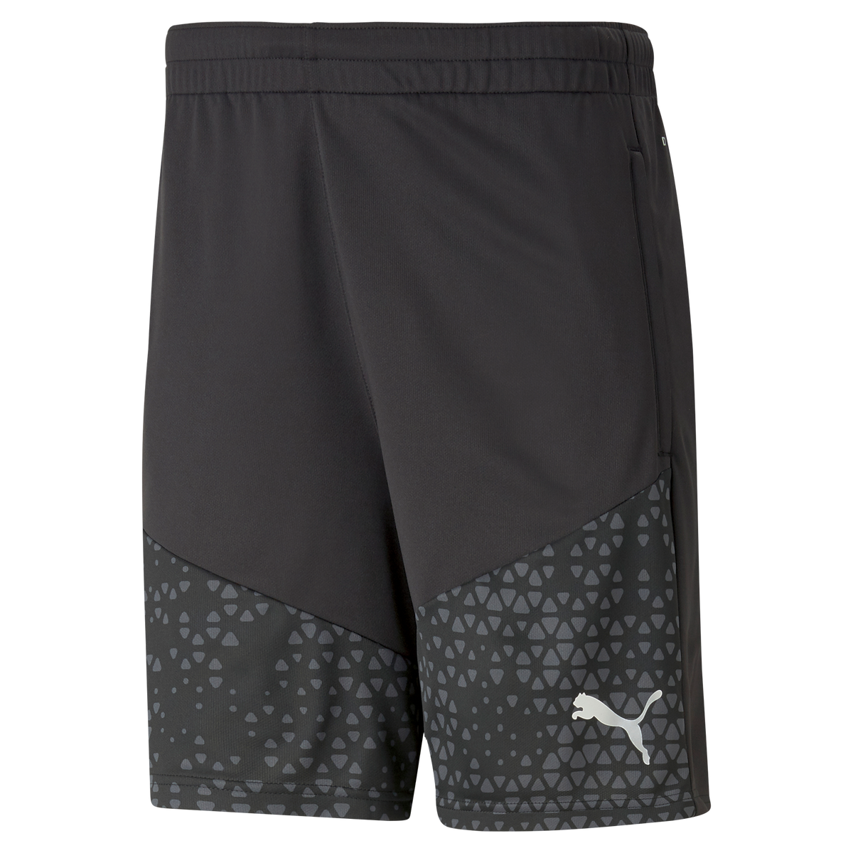 Puma Team Cup Training Shorts