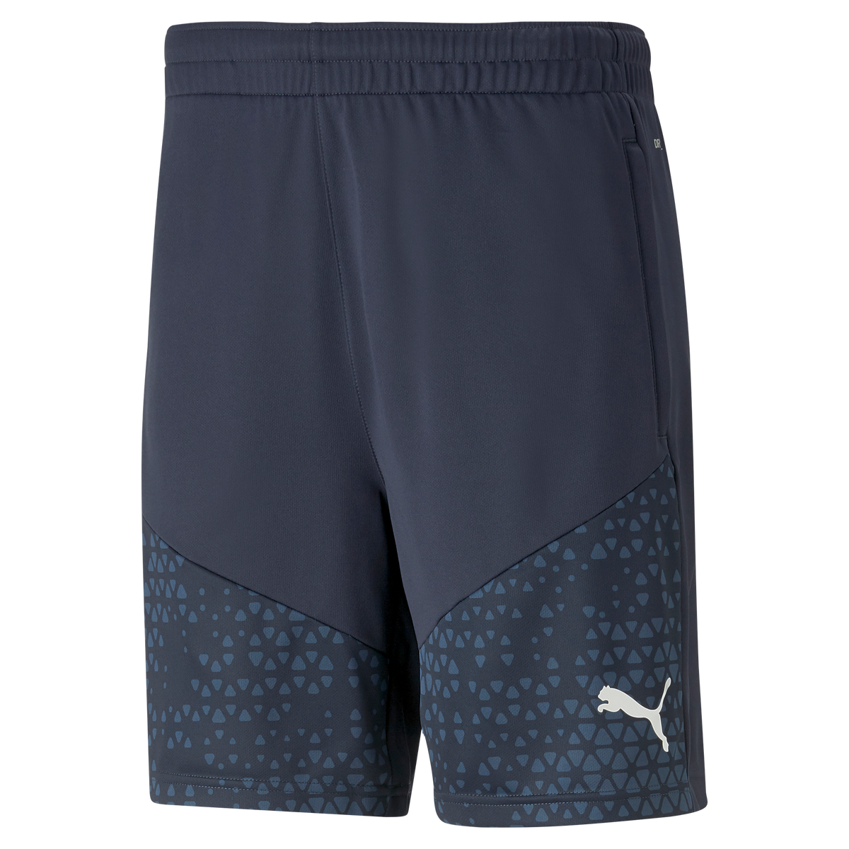 Puma Team Cup Training Shorts
