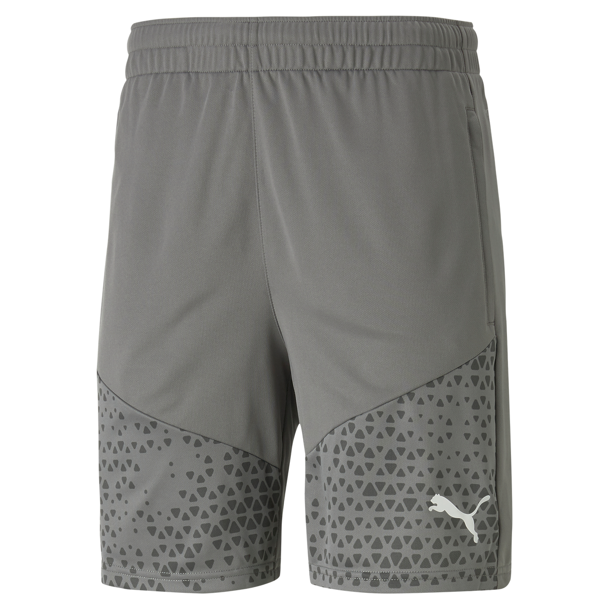 Puma Team Cup Training Shorts
