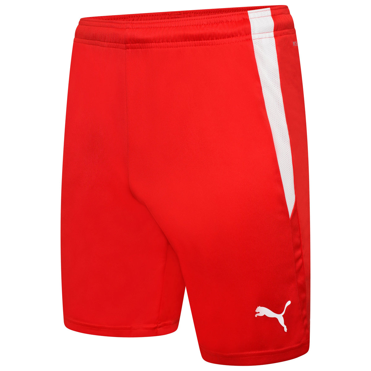 Puma TeamLIGA 25 Shorts