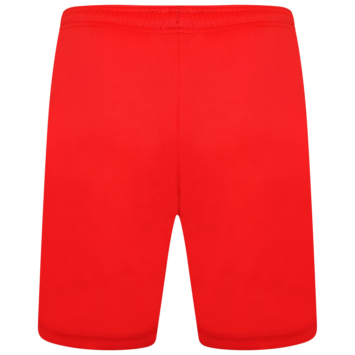 Puma TeamLIGA 25 Shorts