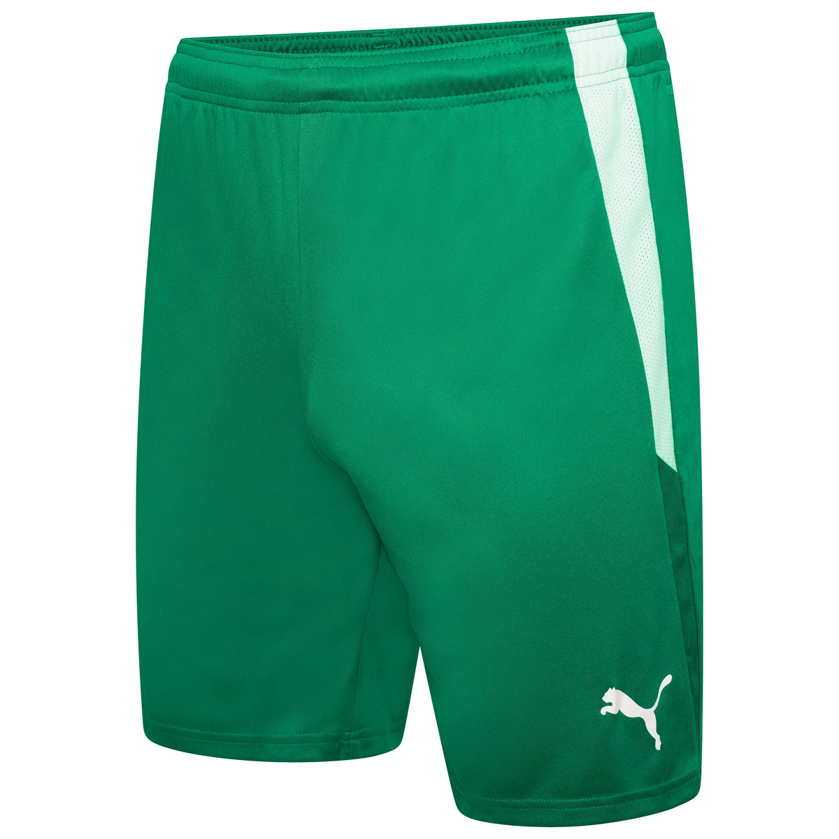 Puma TeamLIGA 25 Shorts