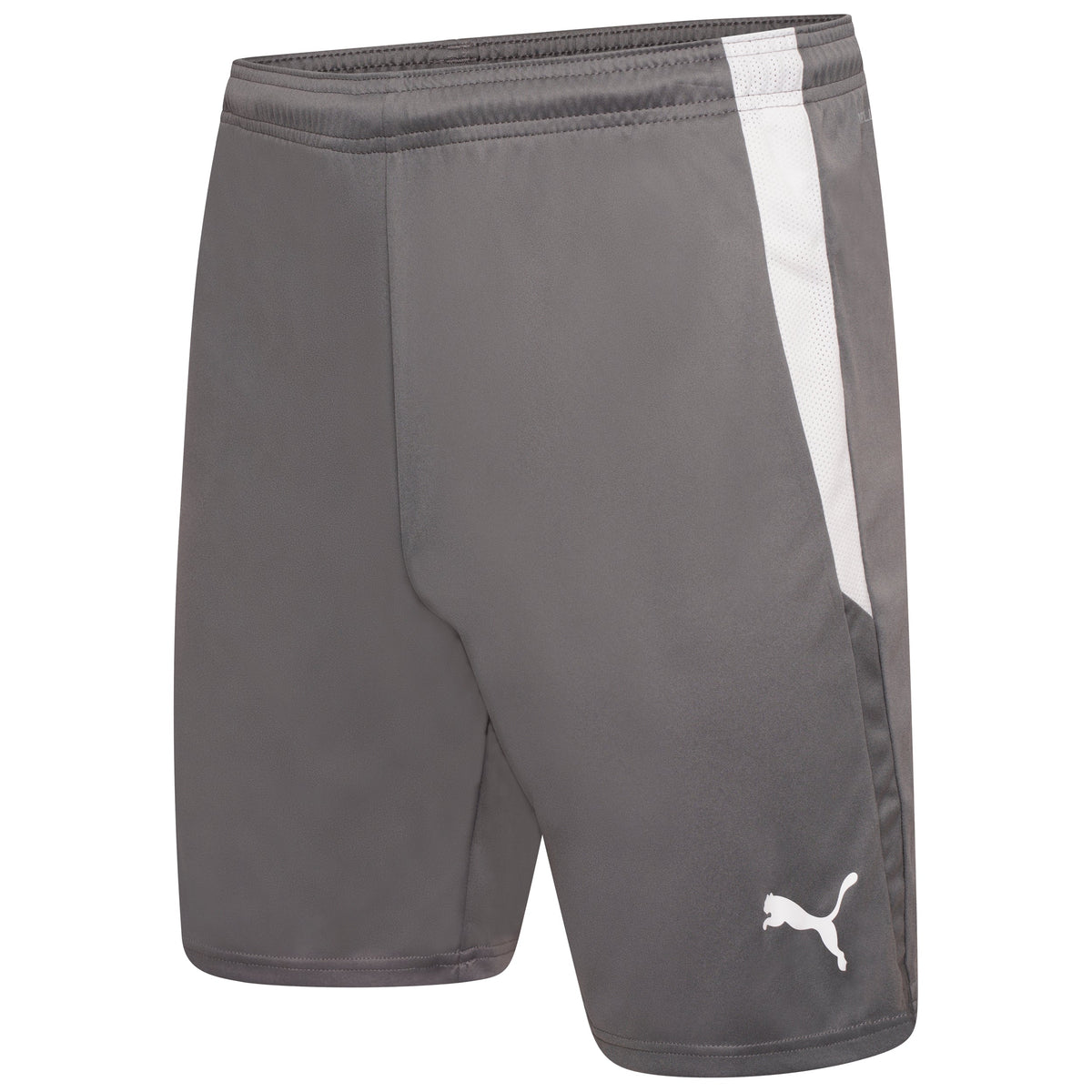 Puma TeamLIGA 25 Shorts