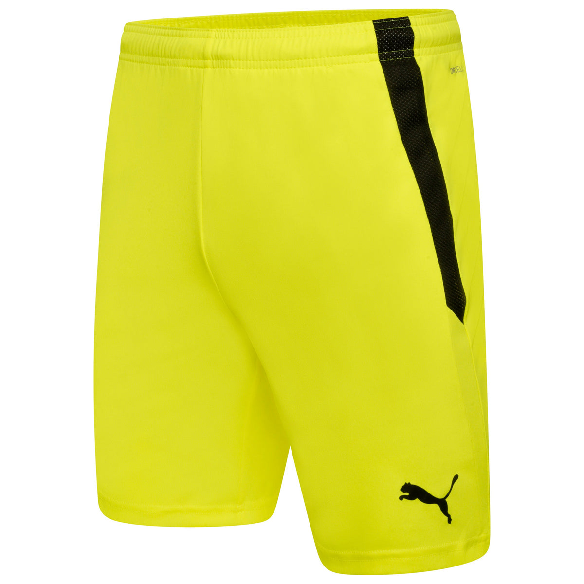 Puma TeamLIGA 25 Shorts