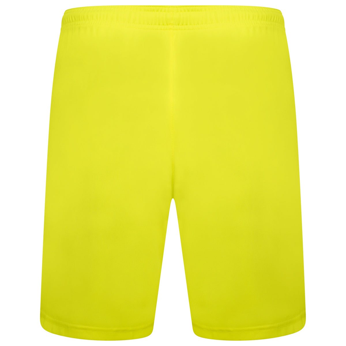 Puma TeamLIGA 25 Shorts