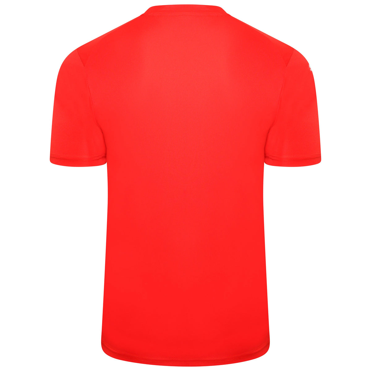 Puma TeamGLORY Short Sleeve Goalkeeper Shirt