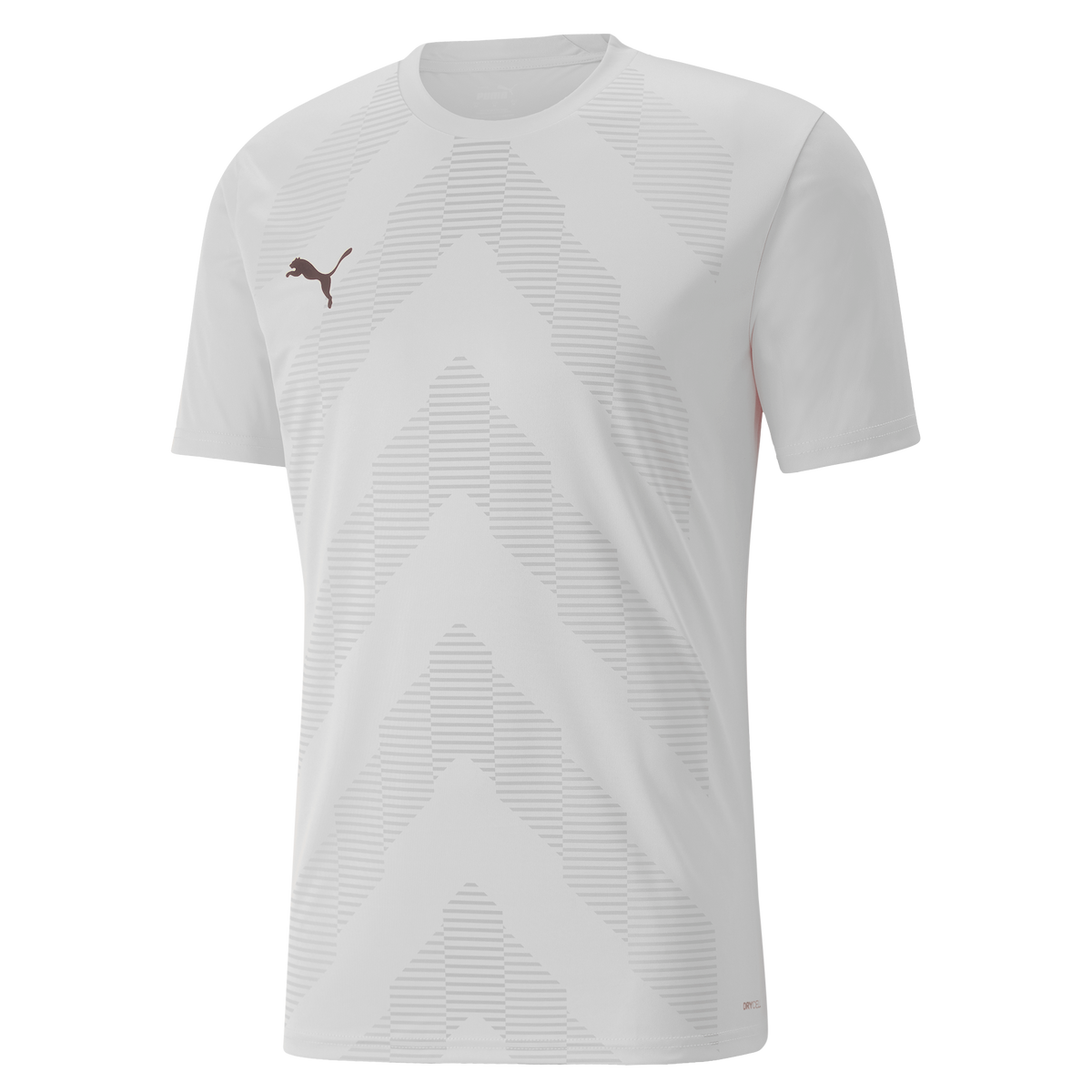 Puma TeamGLORY Short Sleeve Goalkeeper Shirt