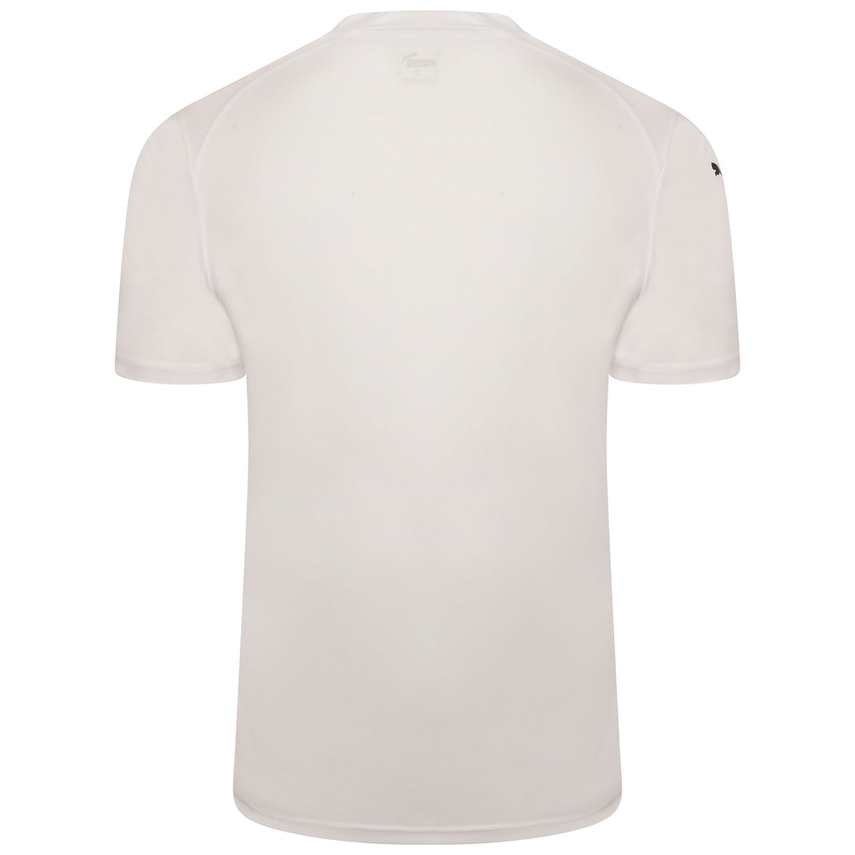 Puma TeamGLORY Short Sleeve Goalkeeper Shirt