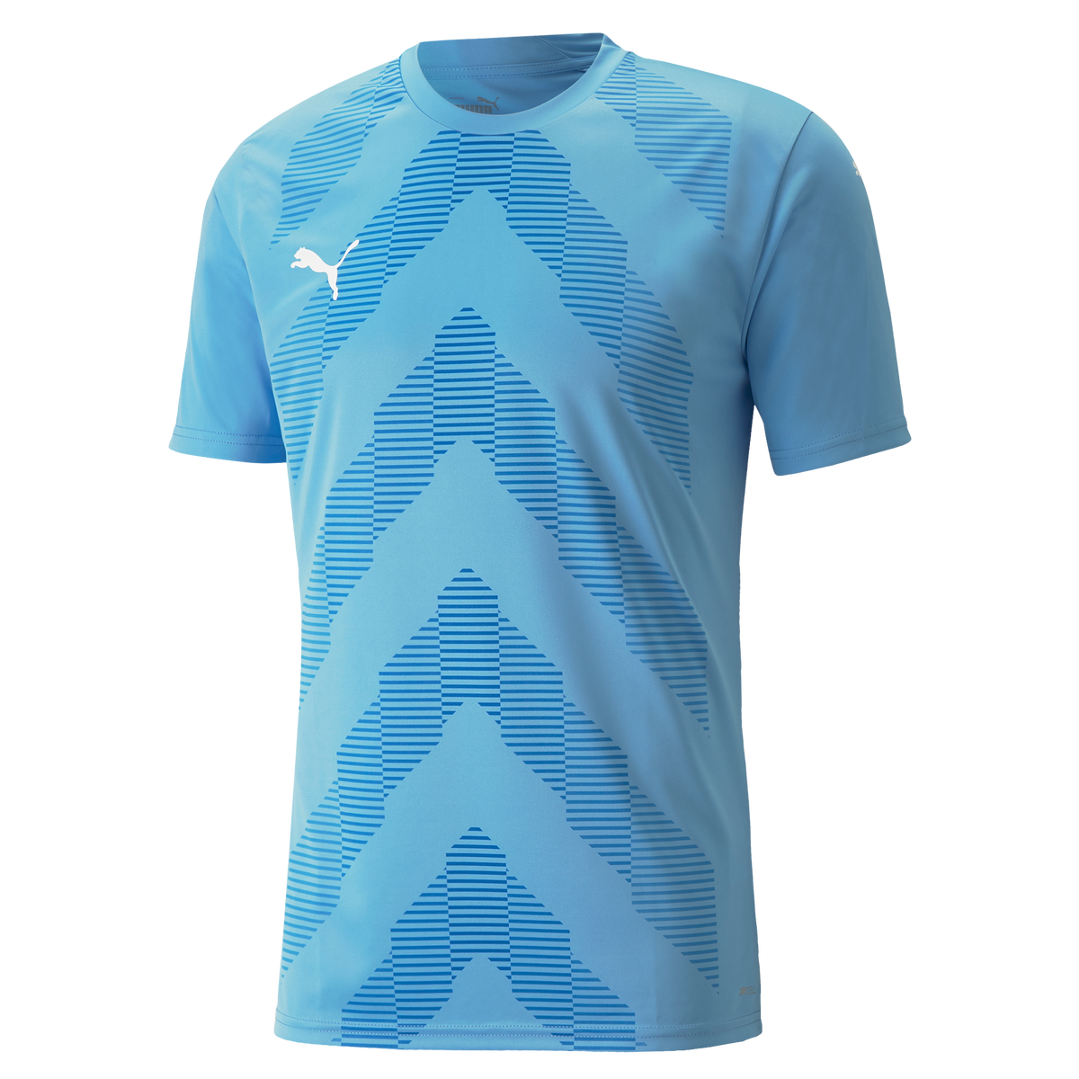 Puma TeamGLORY Short Sleeve Goalkeeper Shirt