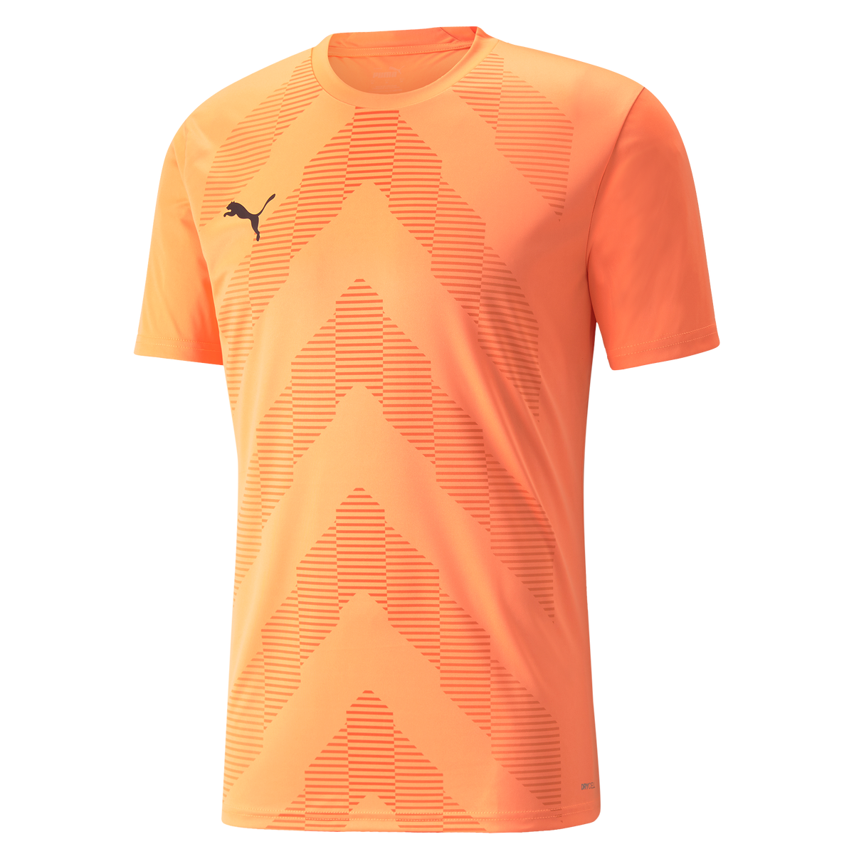 Puma TeamGLORY Short Sleeve Goalkeeper Shirt