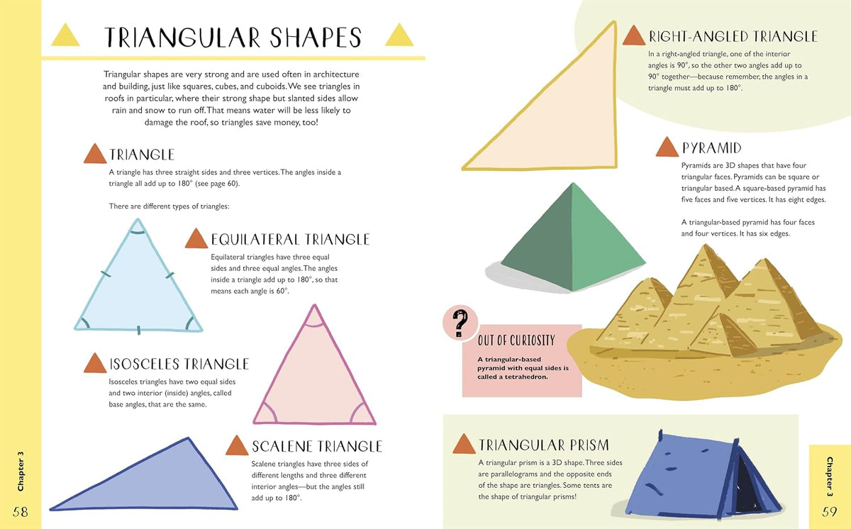 Curious Kids: The Maths Book