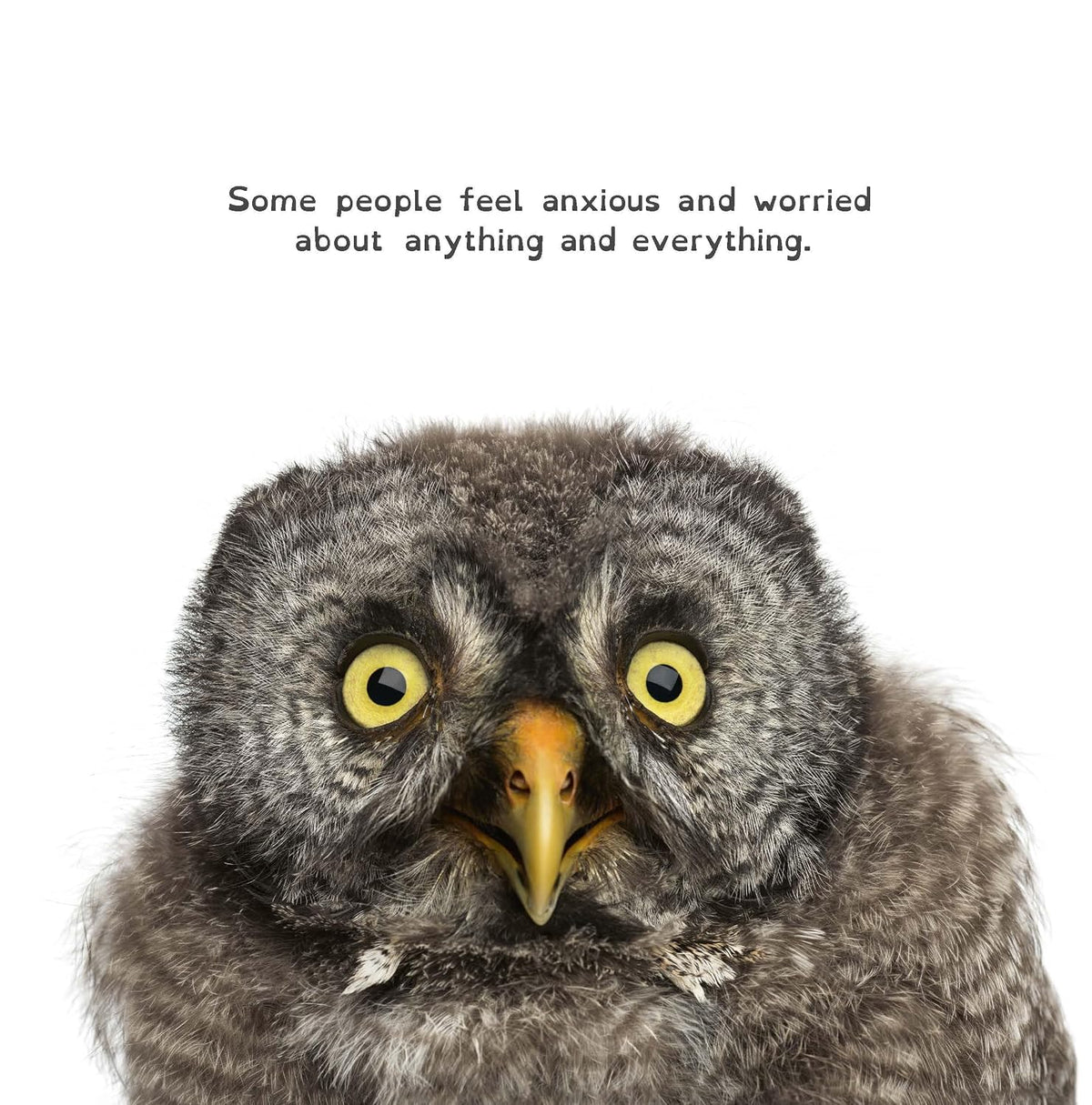 All Birds Have Anxiety