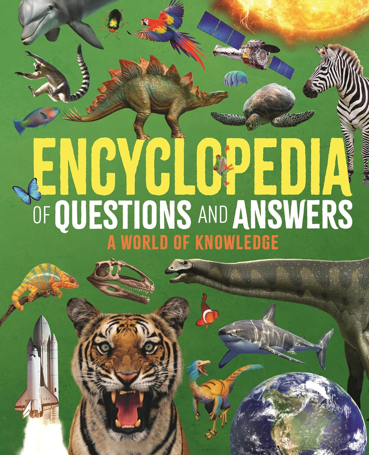 Encyclopedia of Questions and Answers: A World of Knowledge