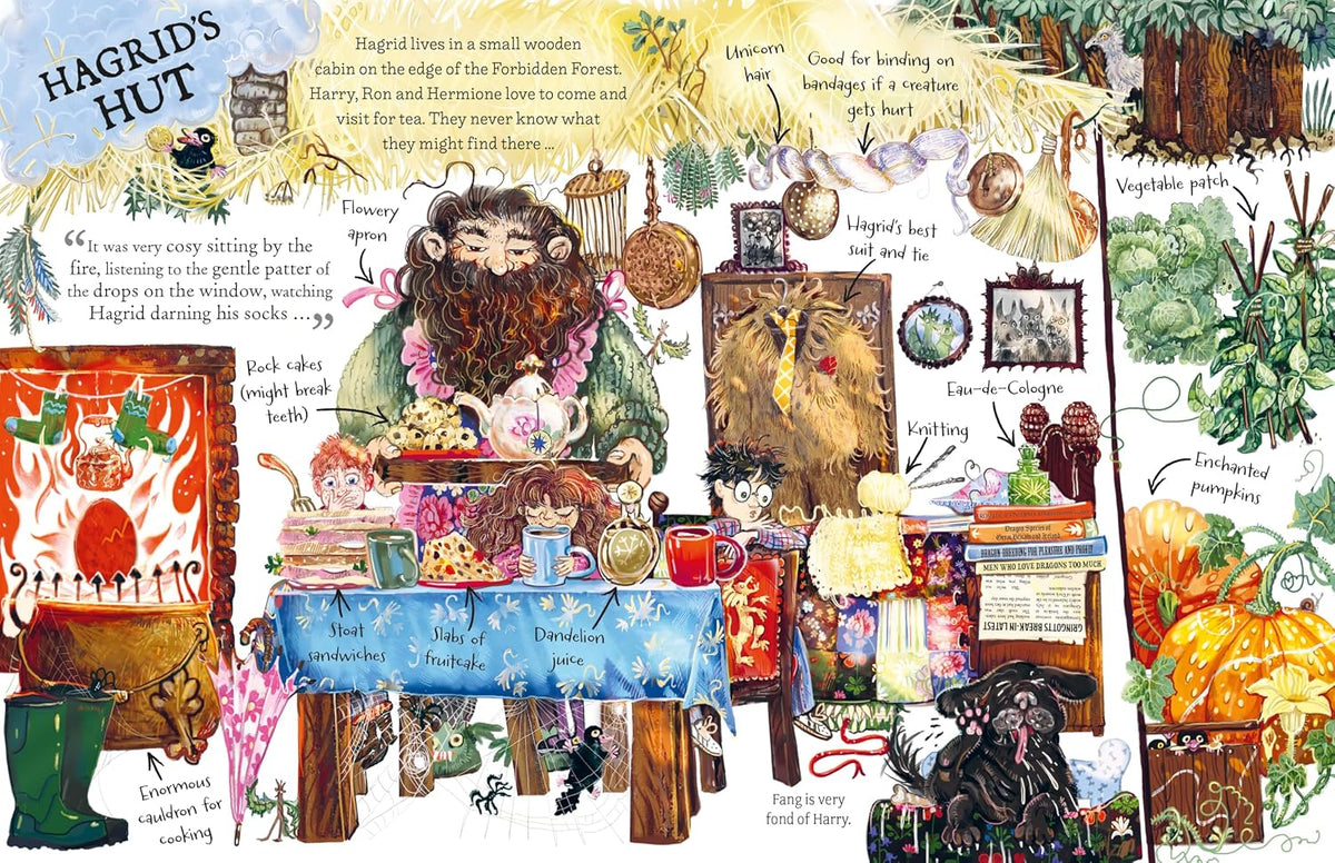 Pocket Potters: Hagrid