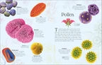 An Anthology of Micro Life
