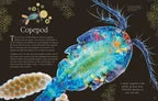 An Anthology of Micro Life