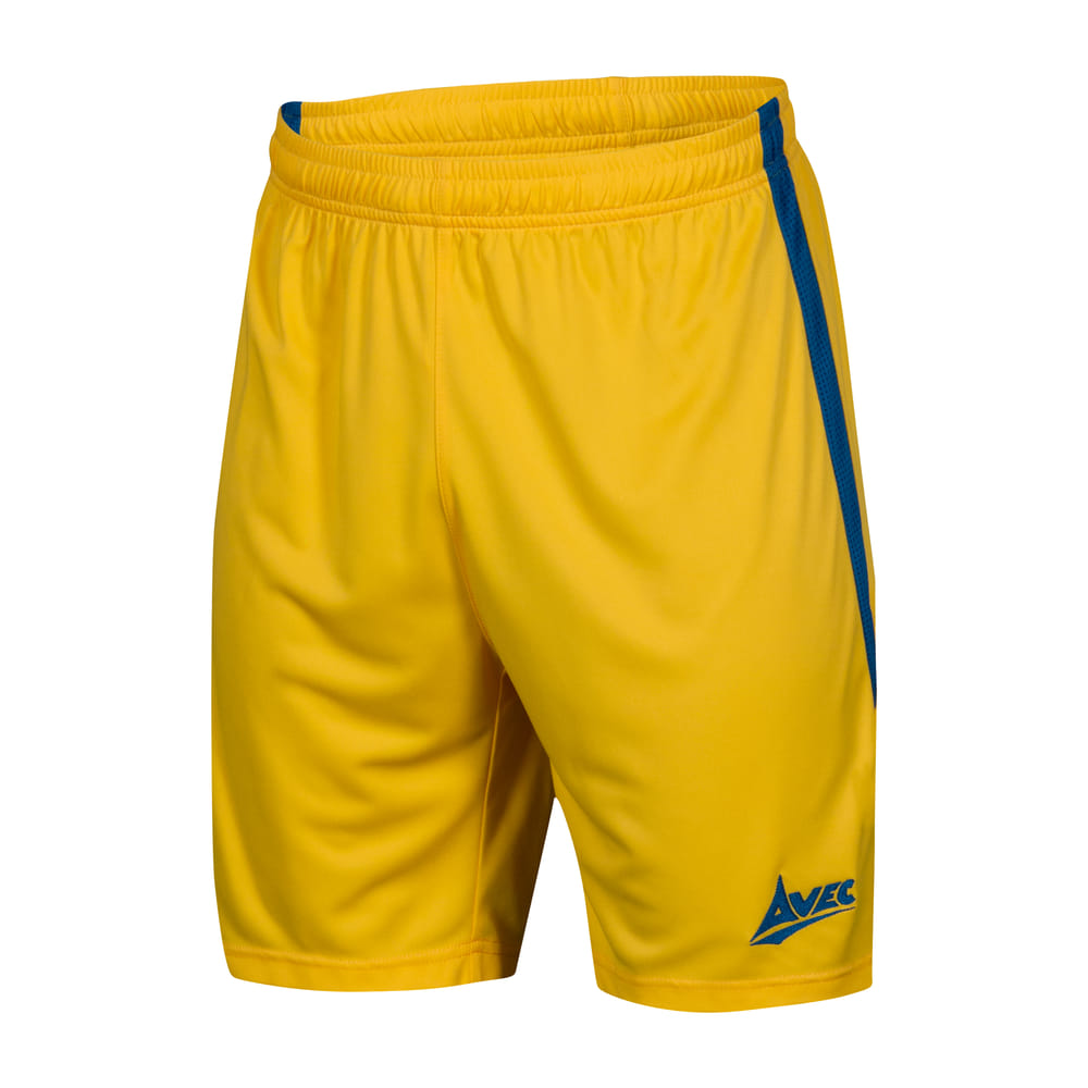 Avec Focus Inter Shorts