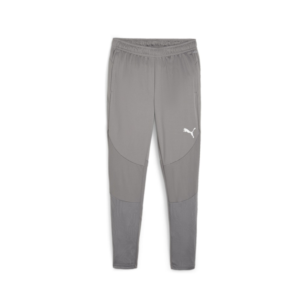 Puma Team Final Training Pants