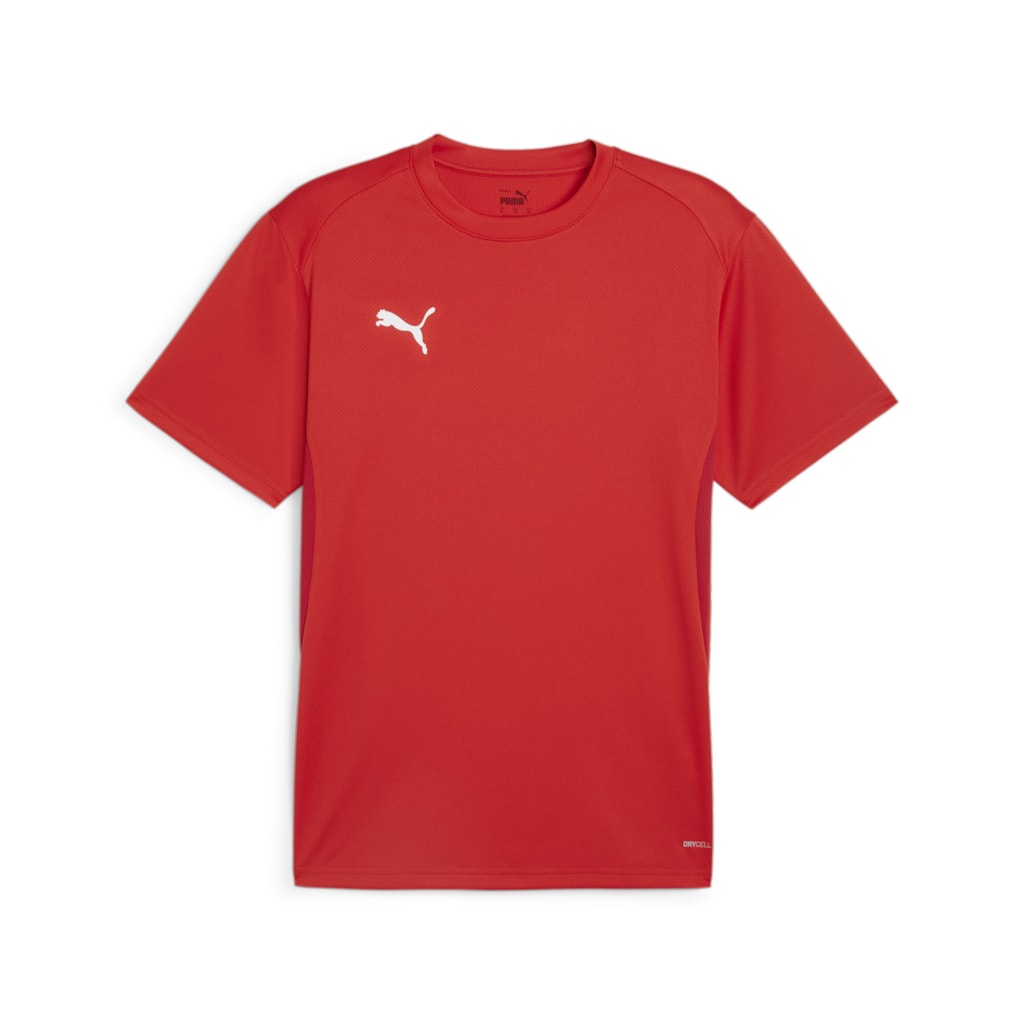 Puma TeamGOAL Jersey