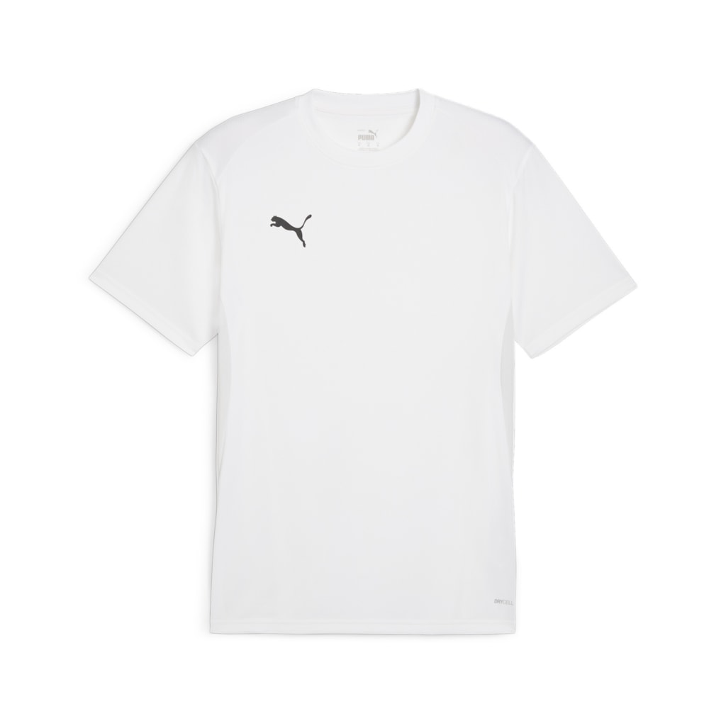Puma TeamGOAL Jersey