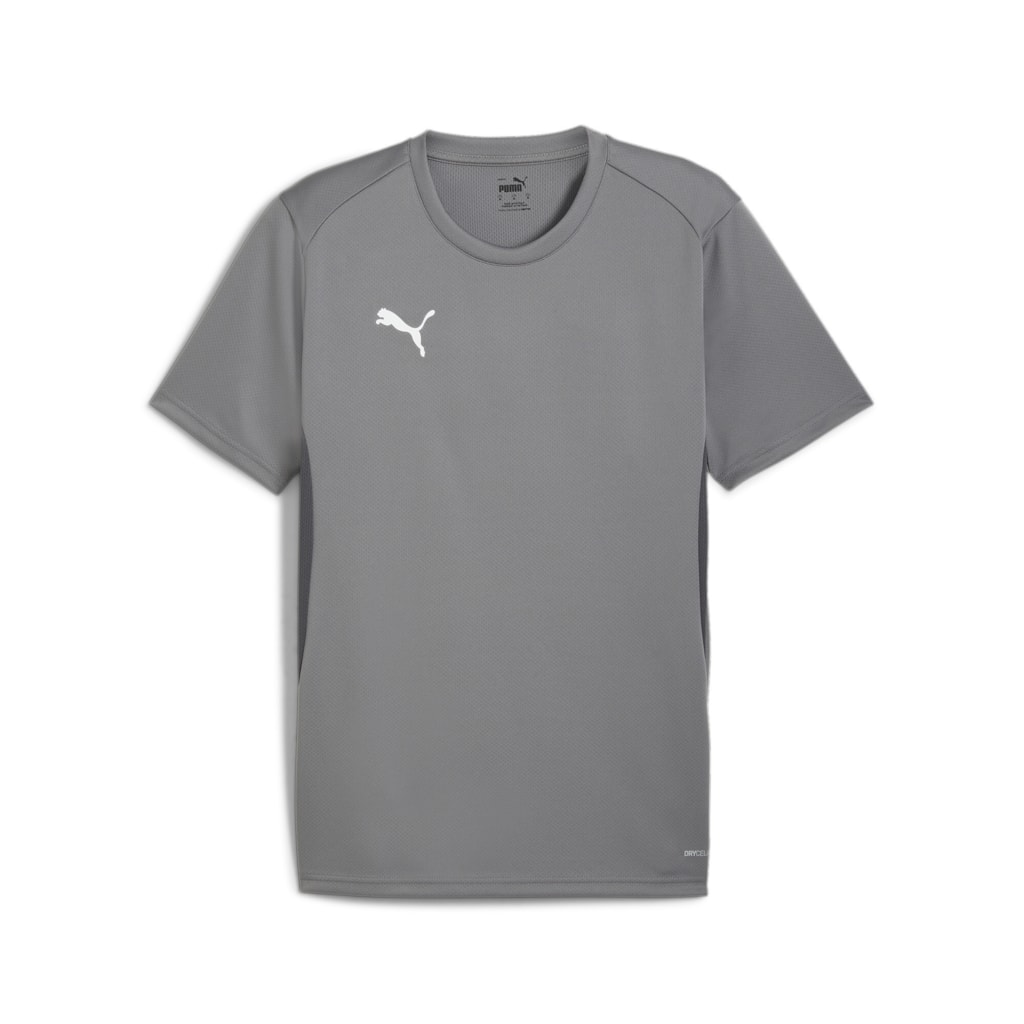 Puma TeamGOAL Jersey