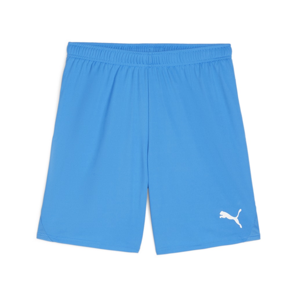 Puma teamGOAL Shorts
