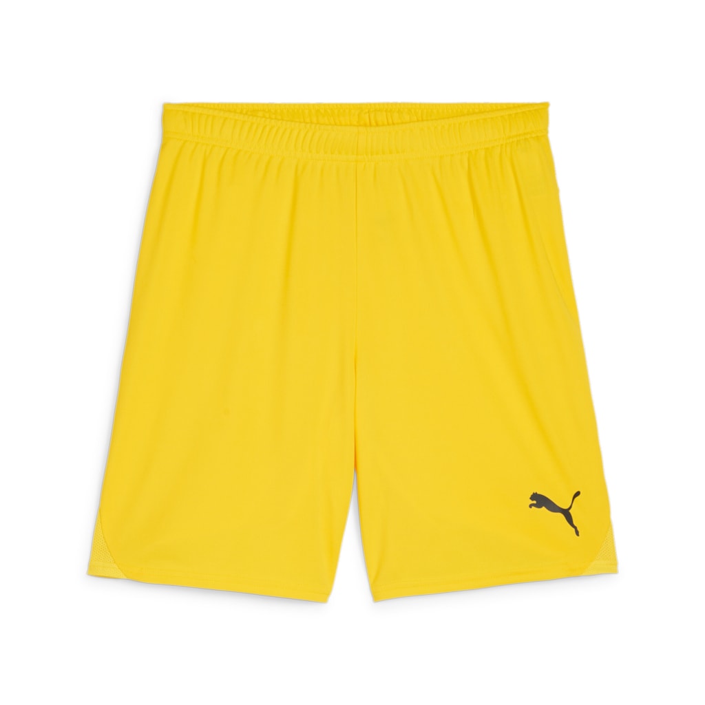 Puma teamGOAL Shorts