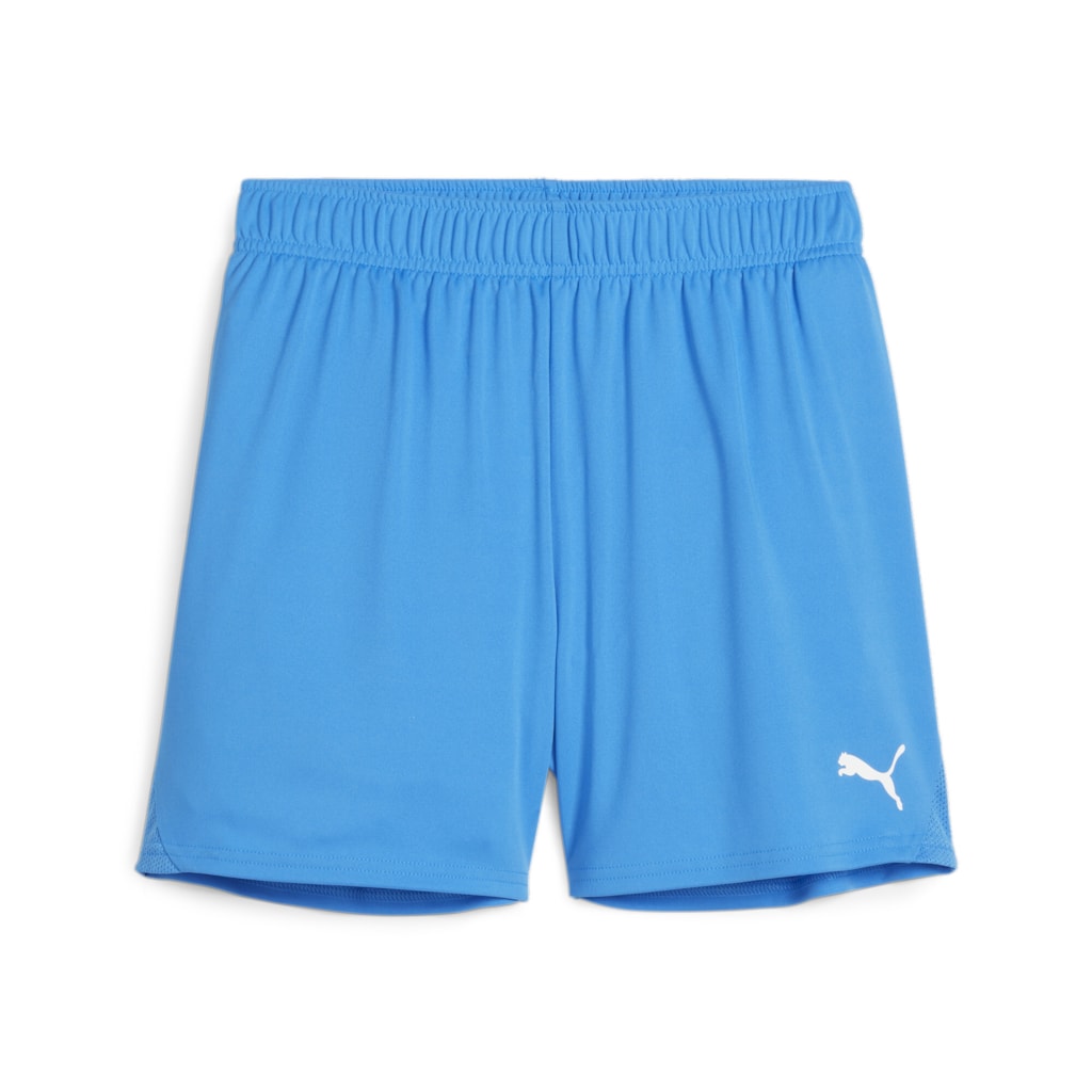 Puma teamGOAL Shorts Women's