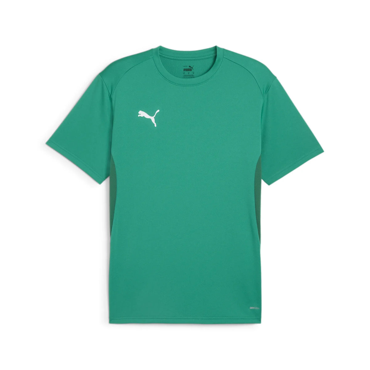 Puma TeamGOAL Jersey