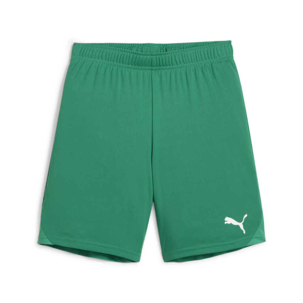 Puma teamGOAL Shorts