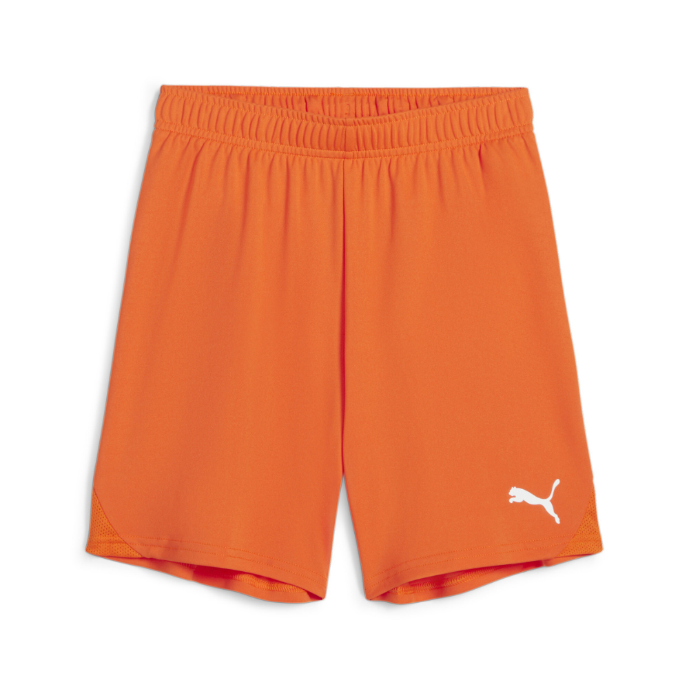 Puma teamGOAL Shorts