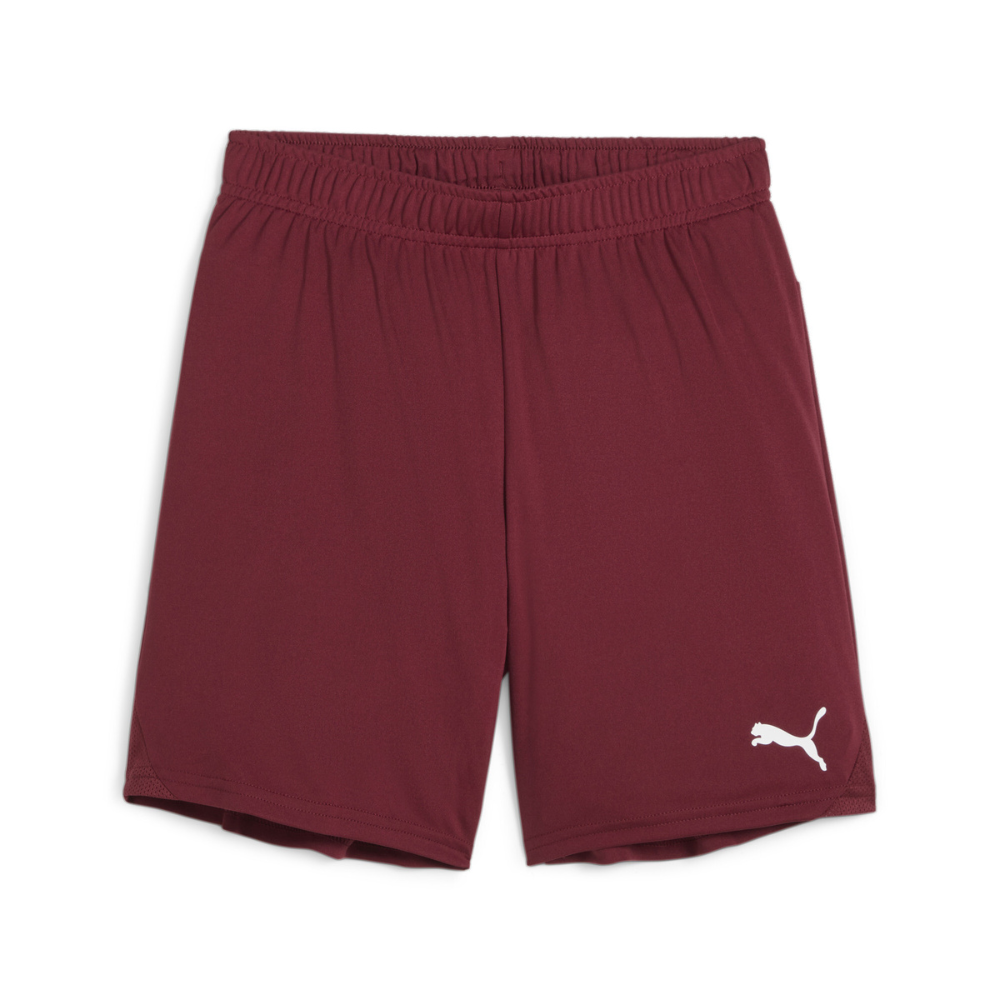 Puma teamGOAL Shorts