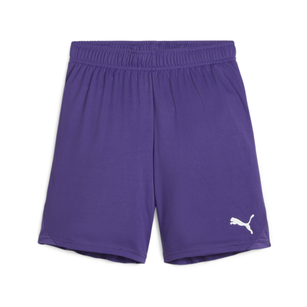 Puma teamGOAL Shorts