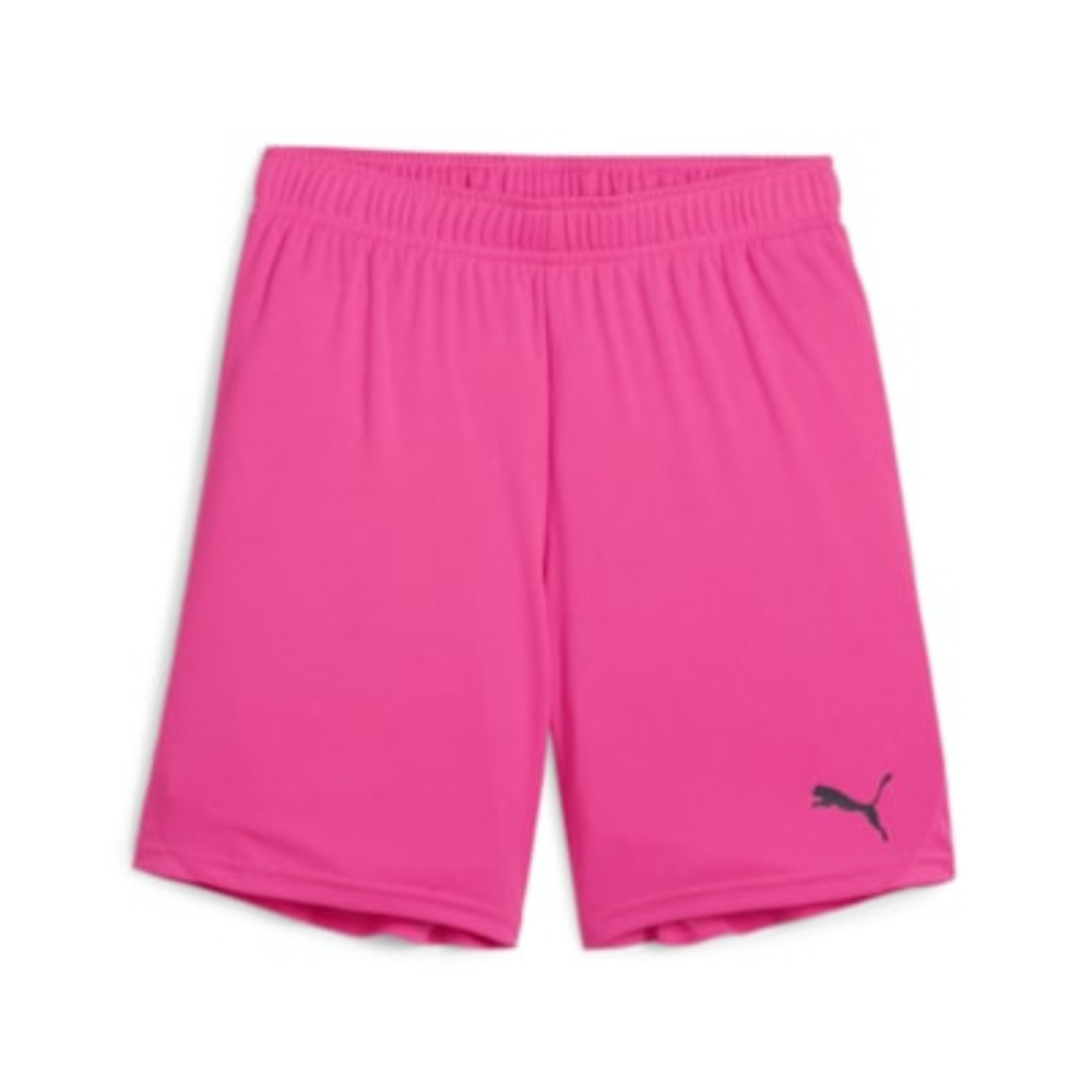 Puma teamGOAL Shorts