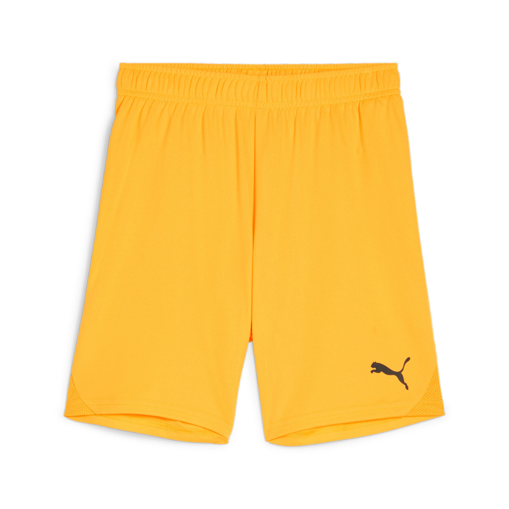 Puma teamGOAL Shorts