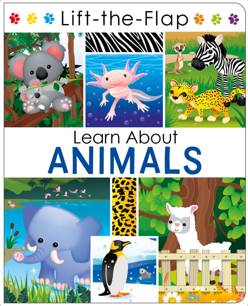 Lift-The-Flap Learn About Animals