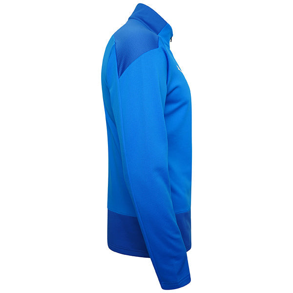 Puma TeamGOAL Training 1/4 Zip Top