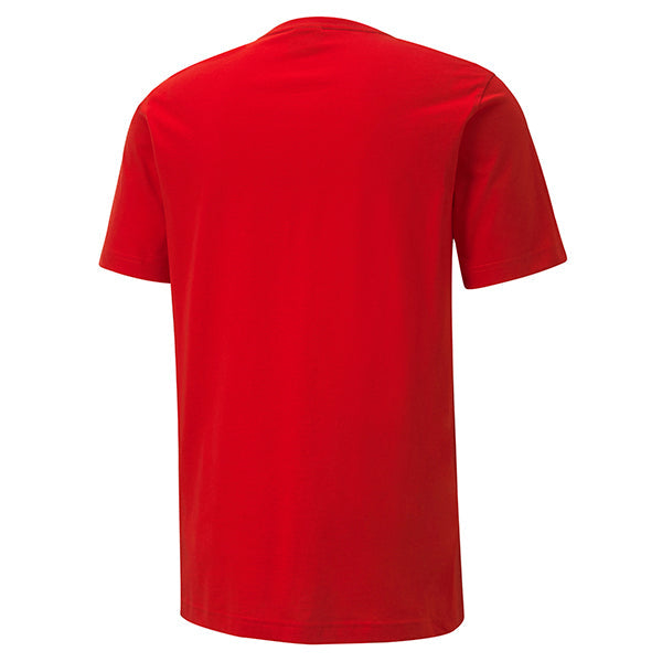 Puma TeamGOAL Casuals Tee