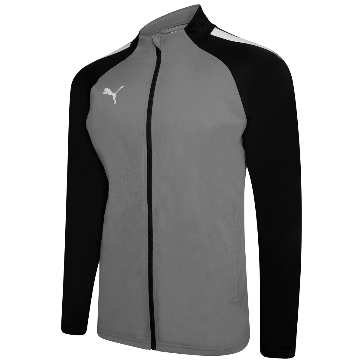 Puma TeamLIGA 25 Training Jacket