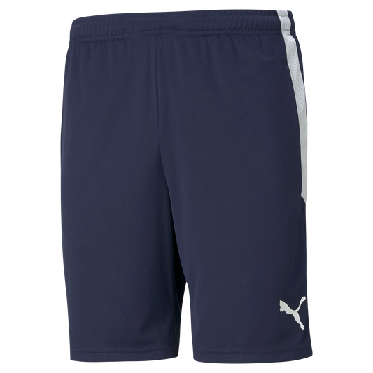 Puma TeamLIGA 25 Training Shorts