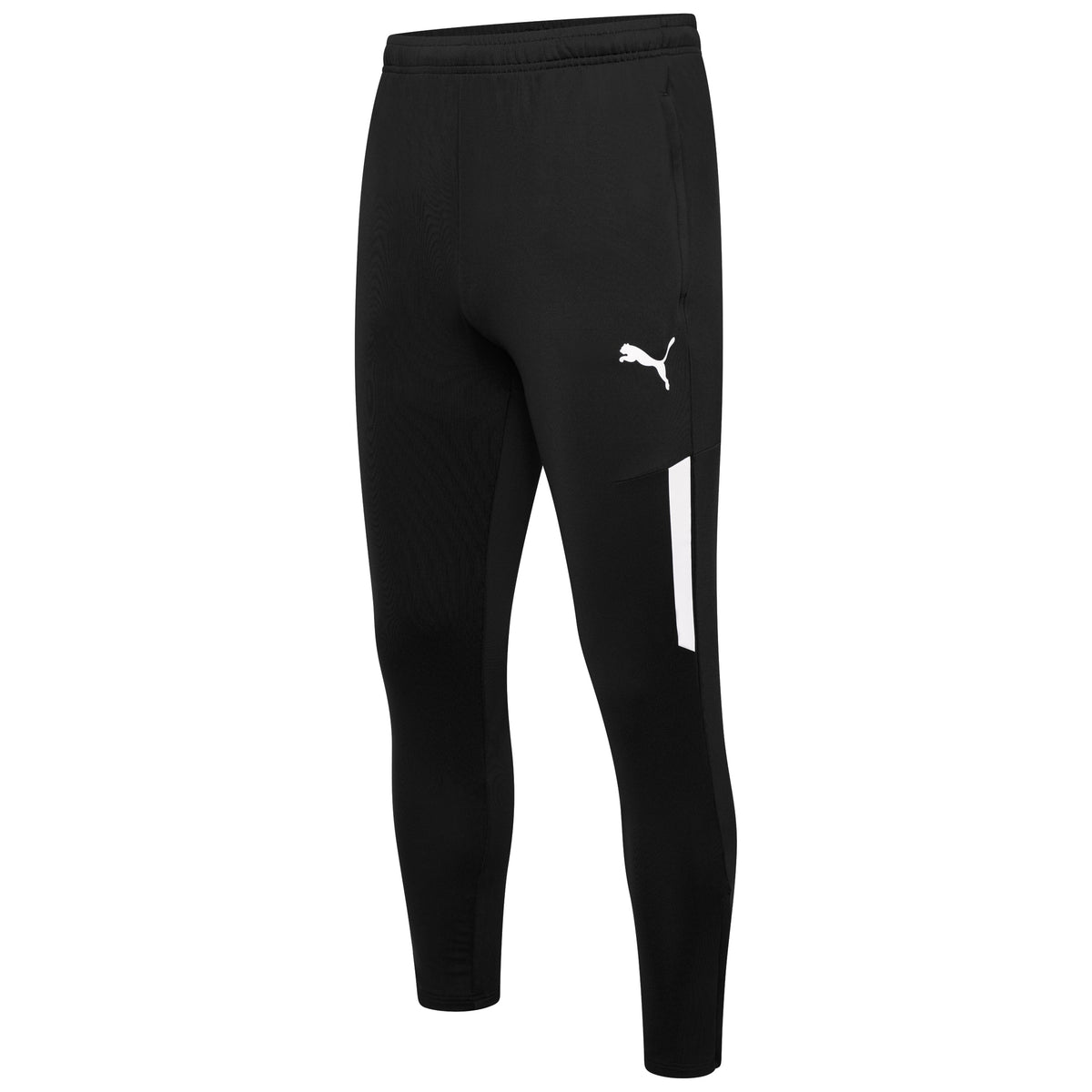 Puma TeamLIGA 25 Training Pro Pants