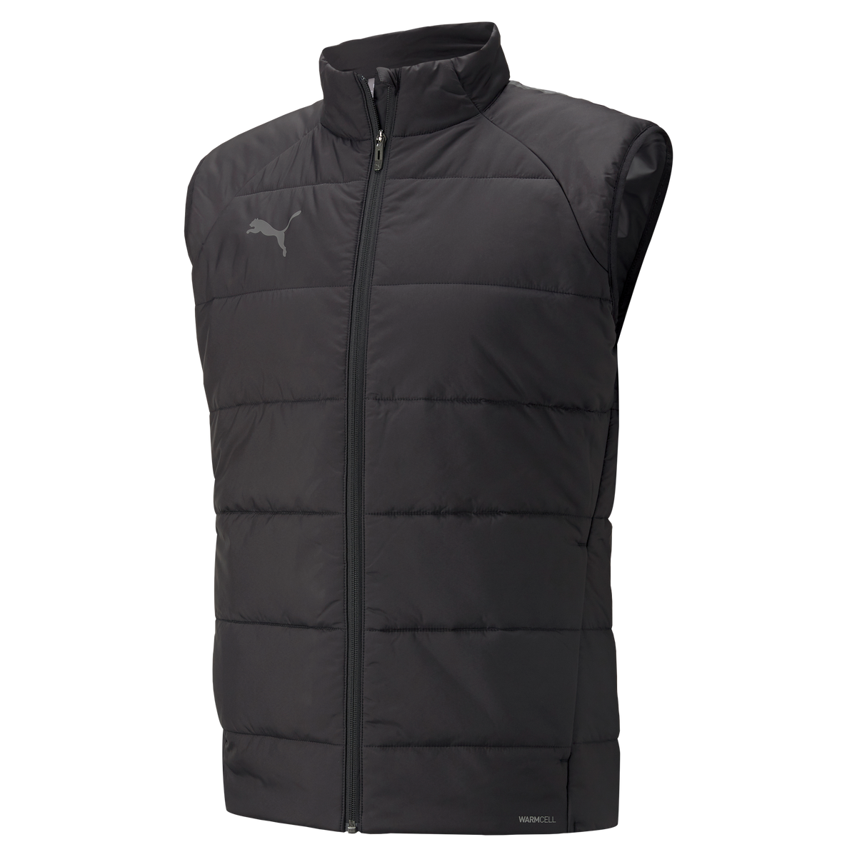 Puma TeamLIGA Vest