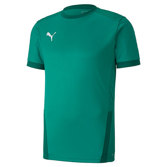 Puma TeamGOAL Shirt