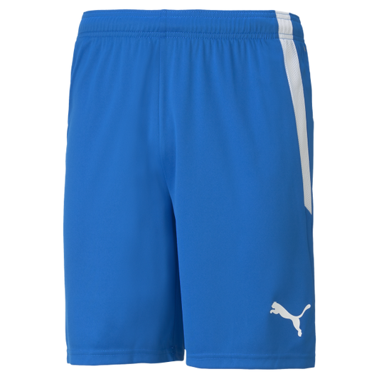 Puma TeamLIGA 25 Shorts
