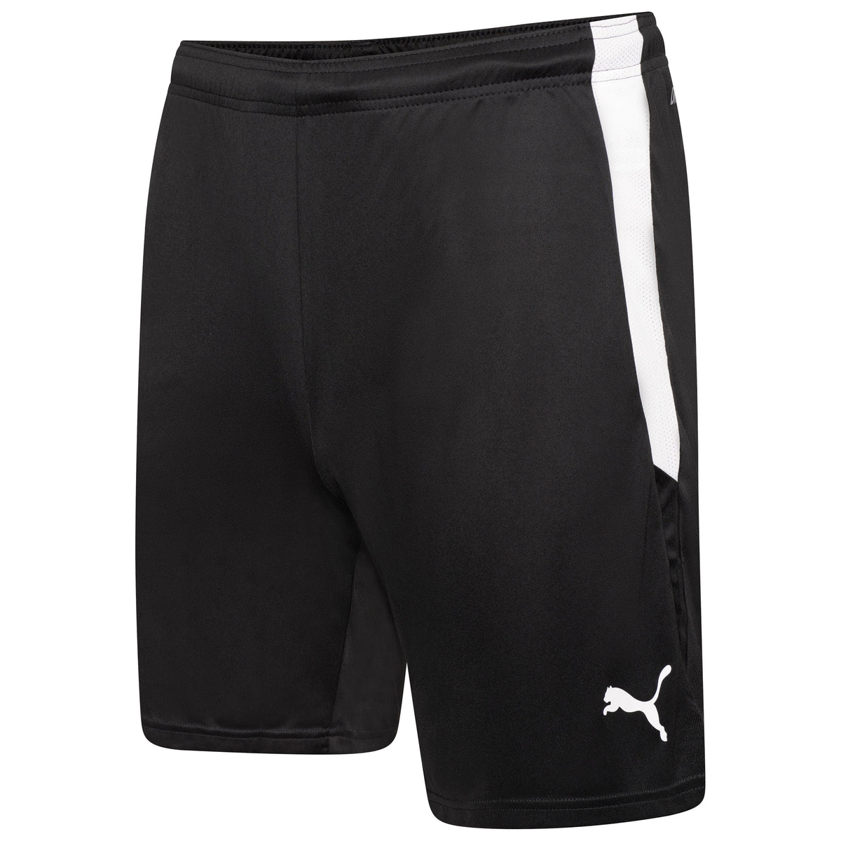 Puma TeamLIGA 25 Shorts