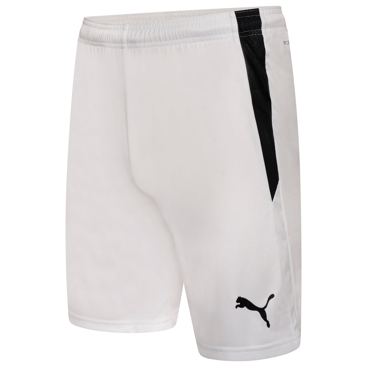 Puma TeamLIGA 25 Shorts
