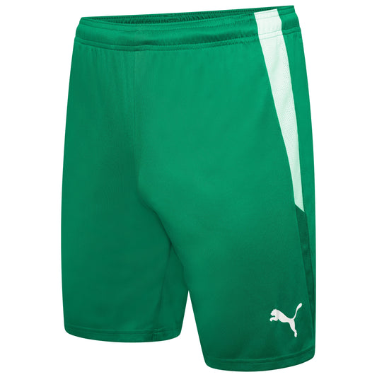 Puma TeamLIGA 25 Shorts