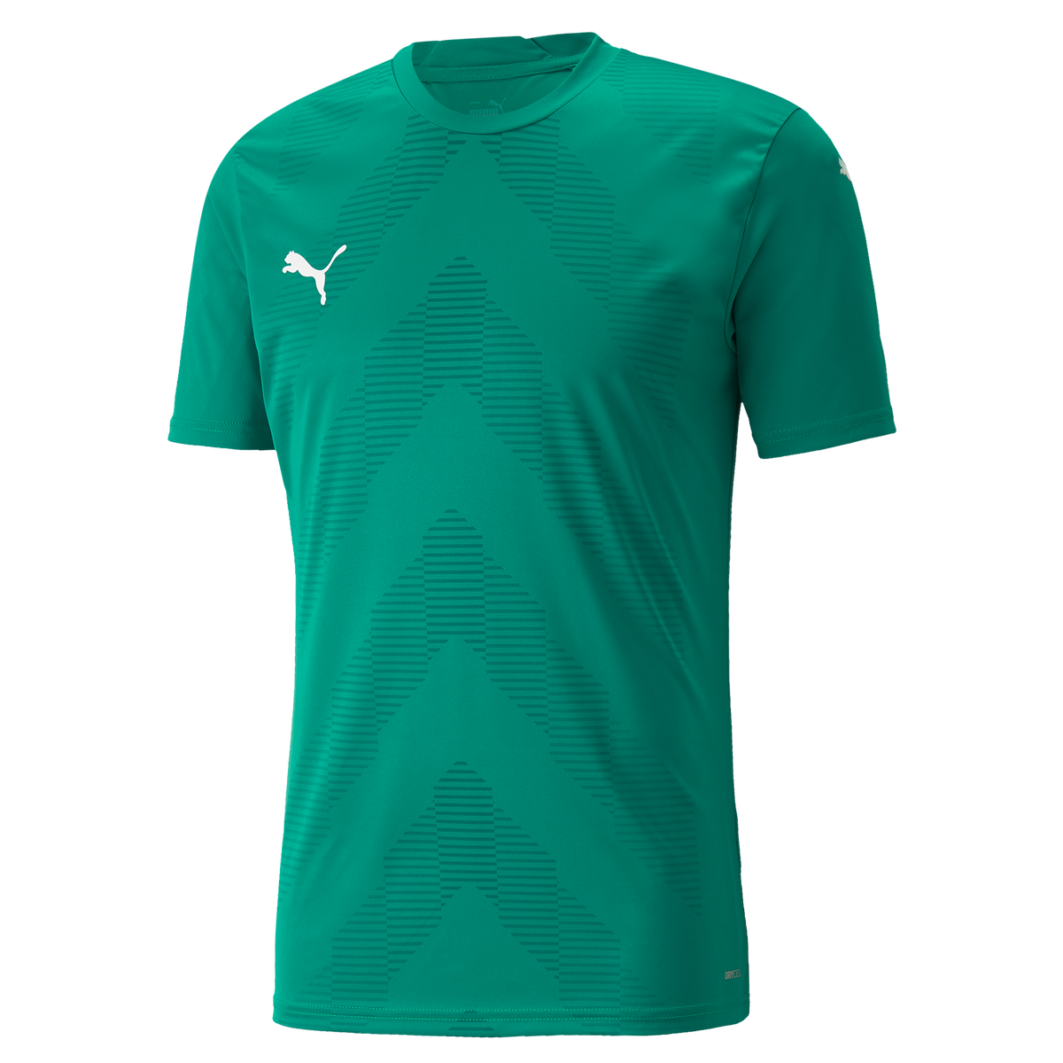 Puma TeamGLORY Short Sleeve Goalkeeper Shirt