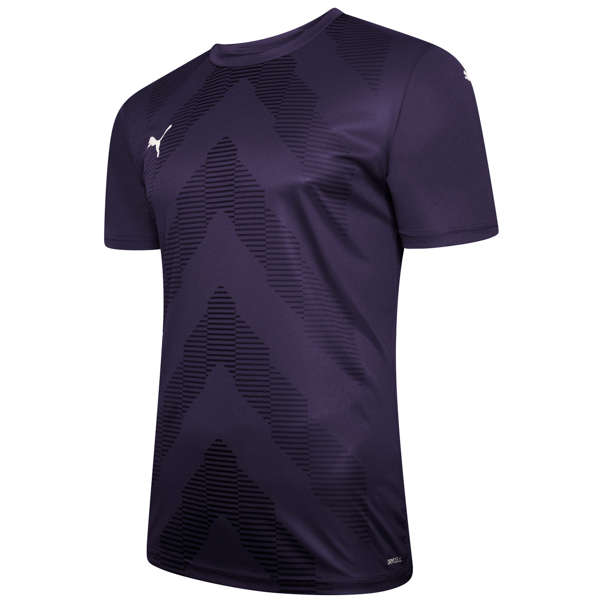 Puma TeamGLORY Short Sleeve Goalkeeper Shirt